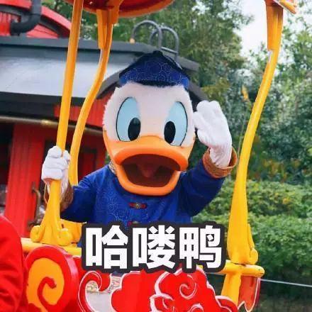 娱乐吃瓜鸭图片